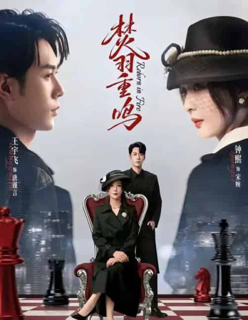 焚羽重鸣(60集全)王宇飞&钟熙-搜外项目网