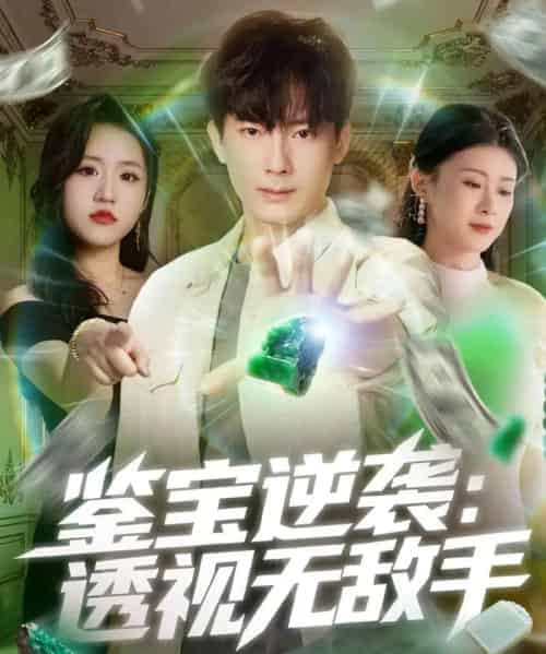 鉴宝逆袭透视无敌手（79集全）程昱泓＆叶一宁-搜外项目网