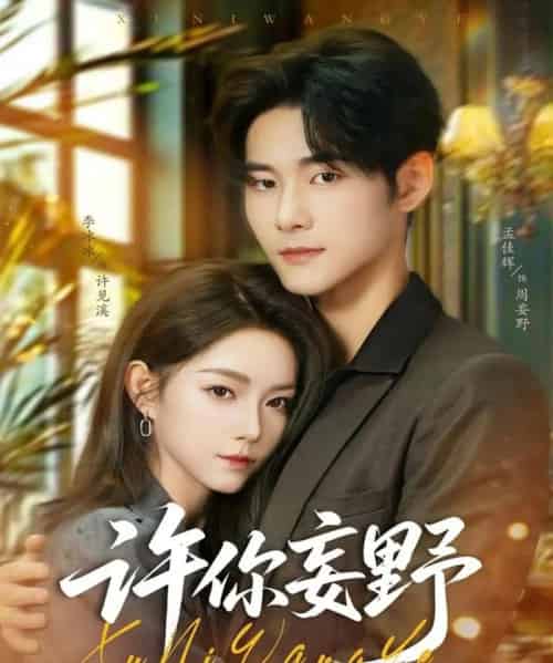 许你妄野(80集全)孟佳辉&李冰冰-搜外项目网