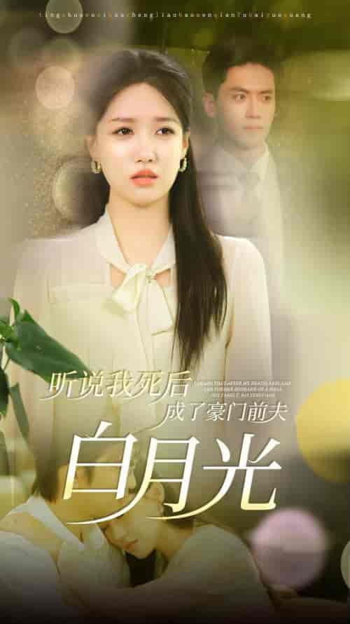听说我死后成了豪门前夫白月光（85集全）聂博宣＆戴凤仪-搜外项目网