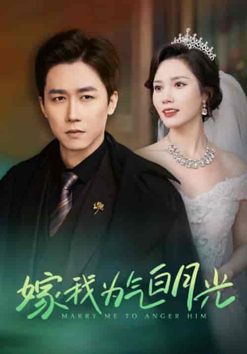 嫁我为气白月光（30集全）陈枫＆黎溪-搜外项目网