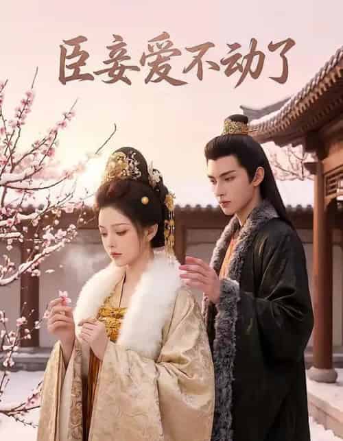 臣妾爱不动了（40集全）AI-搜外项目网