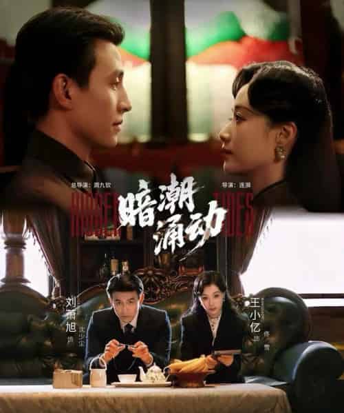 暗潮涌动(60集全)刘萧旭&王小亿-搜外项目网