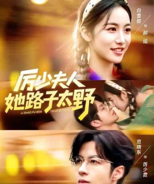 厉少夫人她路子太野（64集全）范晓东＆白雪茹-搜外项目网