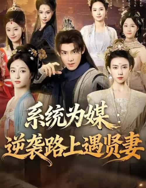 系统为媒：逆袭路上遇贤妻（71集全）林永炬＆修雨秀-搜外项目网