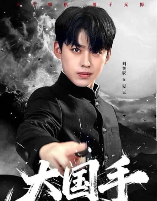 大国手（76集全）刘奕辰＆刘君尧-搜外项目网