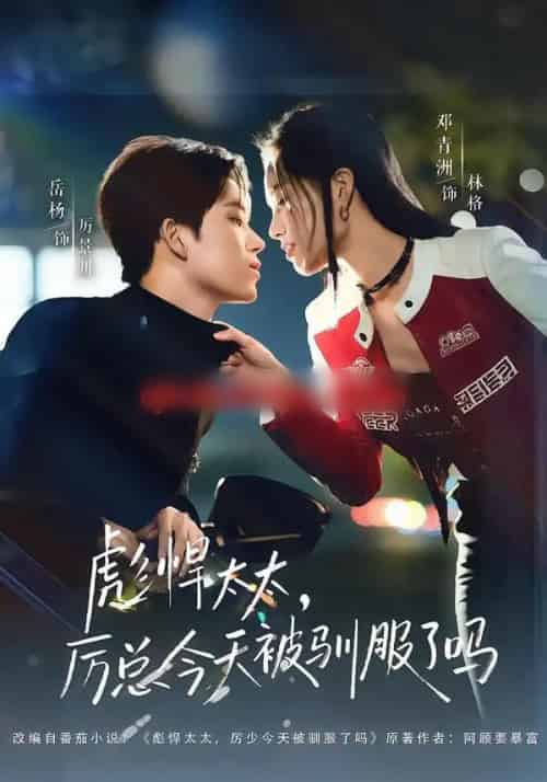 彪悍太太，厉总今天被驯服了吗（88集全）岳杨＆邓青洲-搜外项目网