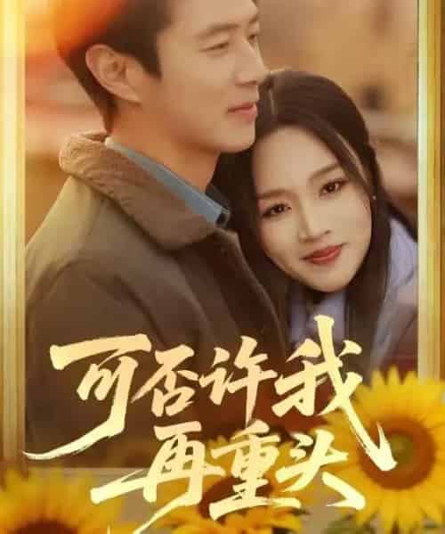 可否许我再重头（71集全）陈聿修＆罗玮-搜外项目网