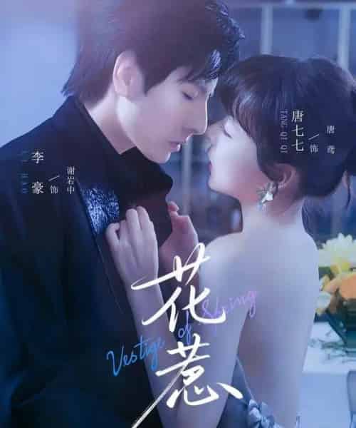 花惹（70集全）李豪＆唐七七-搜外项目网
