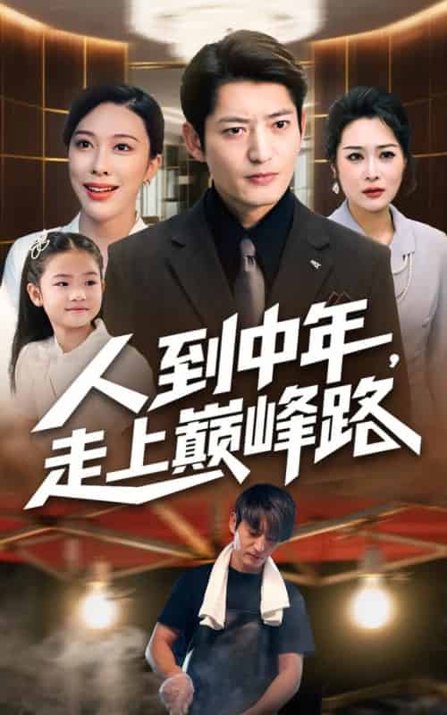 人到中年走上巅峰路(68集全)王淅冉&郭磊-搜外项目网