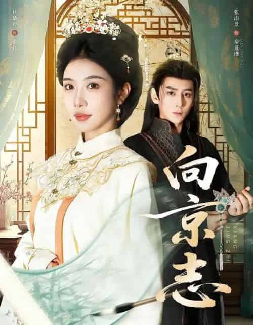 向京志（80集全）张添景＆林琦婷-搜外项目网