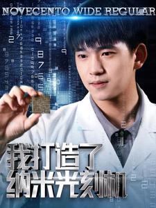 我打造了纳米光刻机（76集）梁思佳-搜外项目网