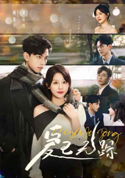 爱已无踪（35集全）韦若辰＆徐兰迪-搜外项目网