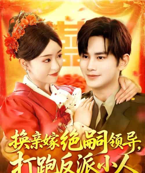 换亲嫁绝嗣领导打跑反派小人(100集)涂鑫艺&曹景皓-搜外项目网