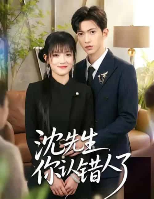 沈先生你认错人了（51集全）孙敬东＆周艺凝-搜外项目网