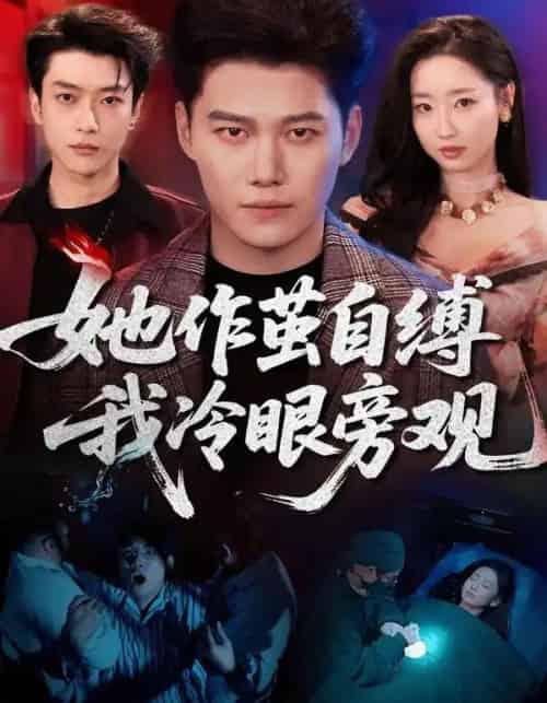 她作茧自缚我冷眼旁观（60集全）丛思涵＆谢佳成-搜外项目网