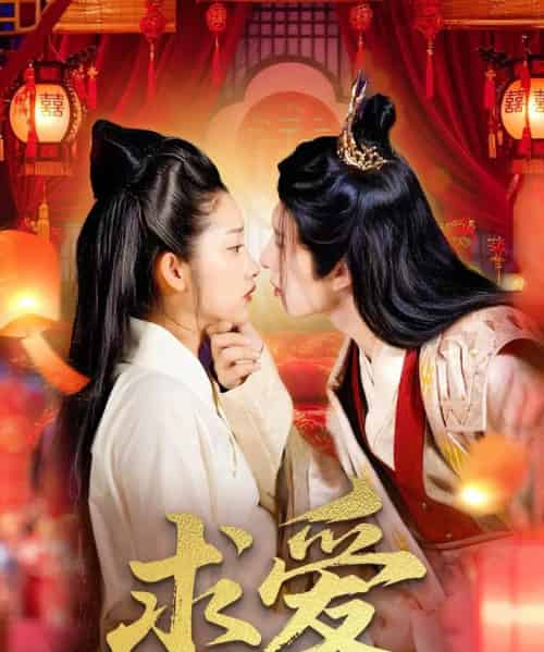 求爱(92集)景文&崔馨心-搜外项目网