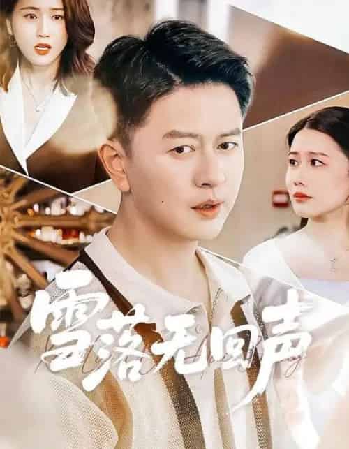 雪落无回声（60集全）雷鹏宇＆周颖-搜外项目网