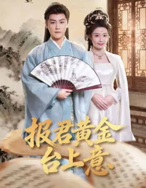 报君黄金台上意(100集全)龙政璇&张元帅-搜外项目网