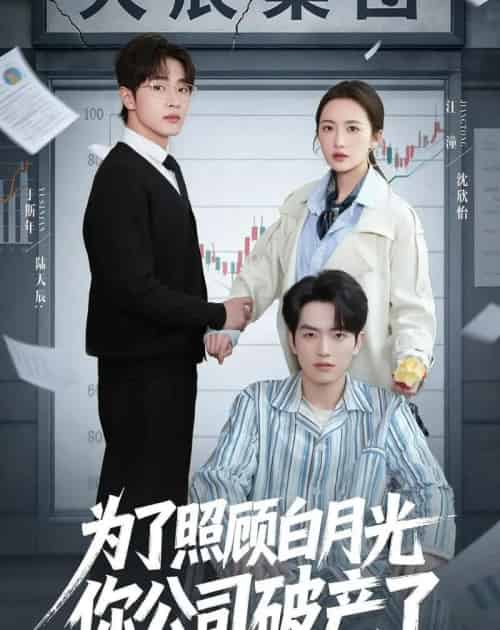 为了照顾白月光你公司破产(70集全)于斯年&江潼-搜外项目网