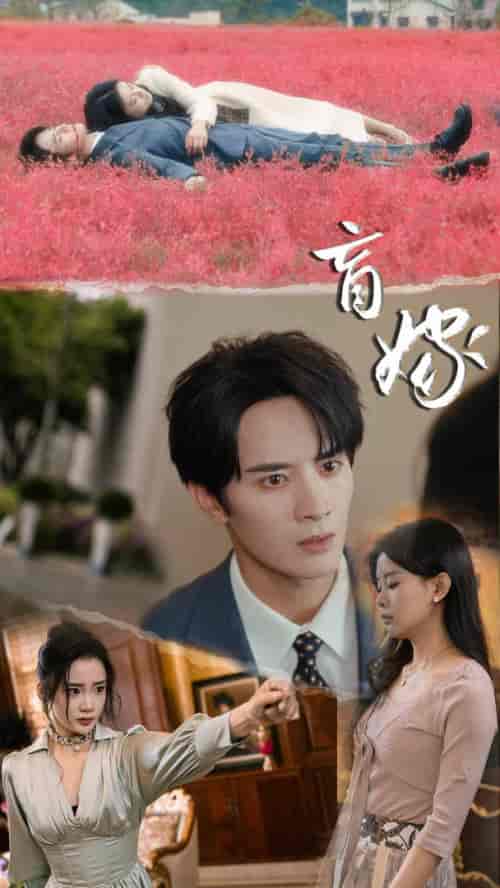 盲嫁（74集）陈冠峄＆陆姝含-搜外项目网