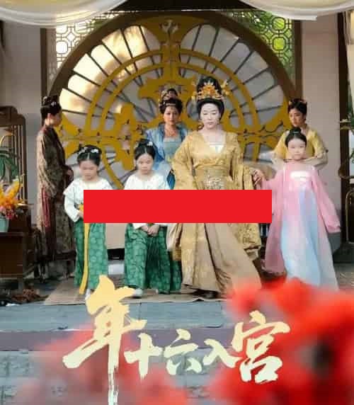 年十六入宫（34集全）成木心＆汤淇钧-搜外项目网