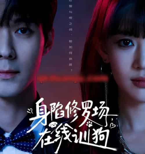 身陷修罗场，在线训狗（81集全）李佳明＆成梓宁-搜外项目网