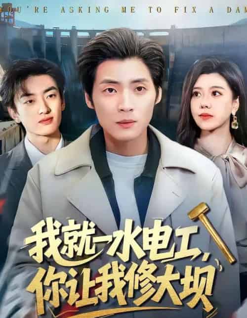 我就一水电工，你让我修大坝（65集全）徐浩＆陈汶汐-搜外项目网