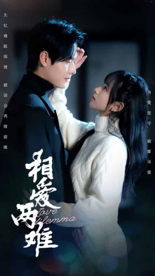 相爱两难(68集全)杨映真&彤彤-搜外项目网
