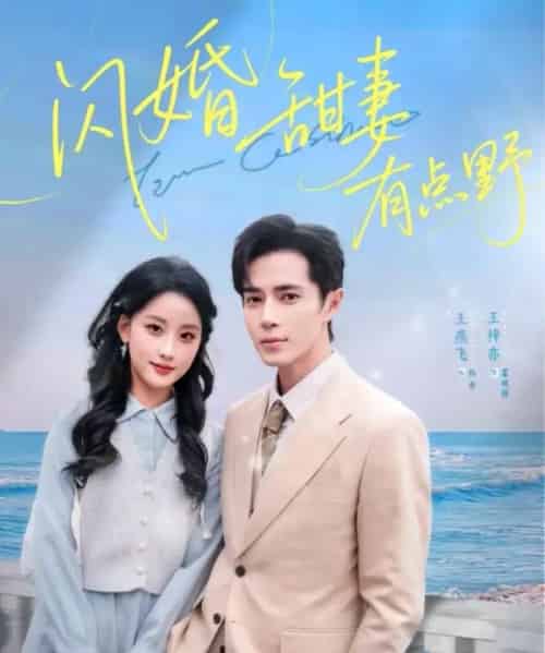 闪婚甜妻有点野（89集全）王梓亦＆王燕飞-搜外项目网