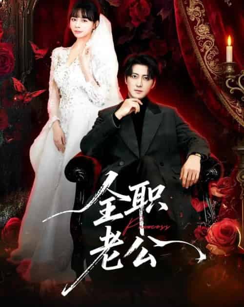 全职老公(60集全)李岩松&卢巧-搜外项目网