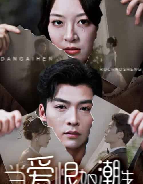 当爱恨如潮生(71集)方正男&程琳淼-搜外项目网