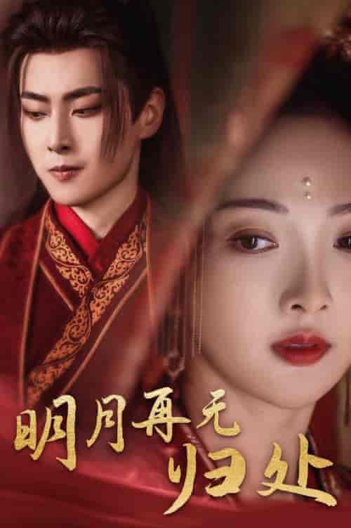 明月再无归处(39集全)展轩&丁果-搜外项目网