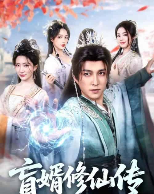 盲婿修仙传(65集全)陈楚洹&廖芯-搜外项目网