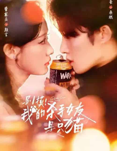 别摸!我的杀手女友是只猫(60集全)陈名豪&曹赛亚&潘文驰-搜外项目网