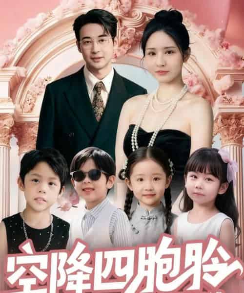 空降四胞胎高冷爹地宠妻没底线(75集全)丁映智&王晶晶-搜外项目网