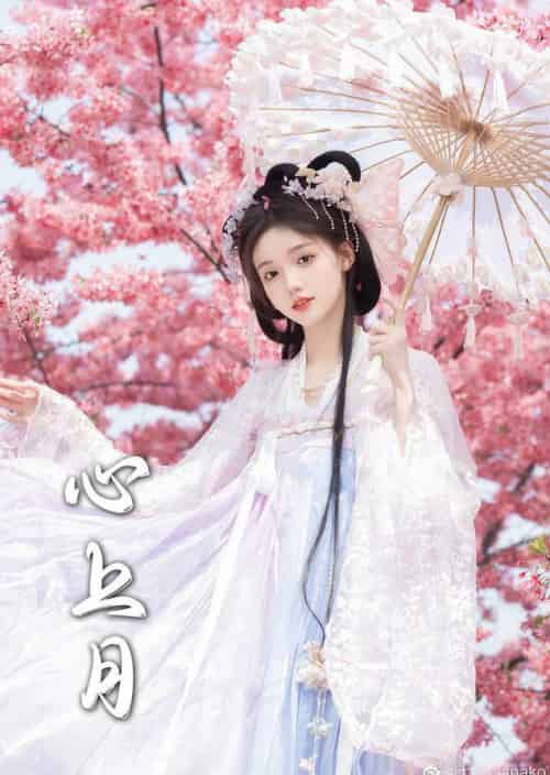 为凰＆心上月（72集全）御儿＆王嘉懋-搜外项目网