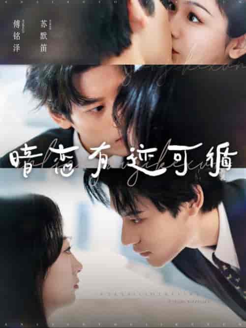 暗恋有迹可循（101集全）秦伟制＆田苗苗-搜外项目网