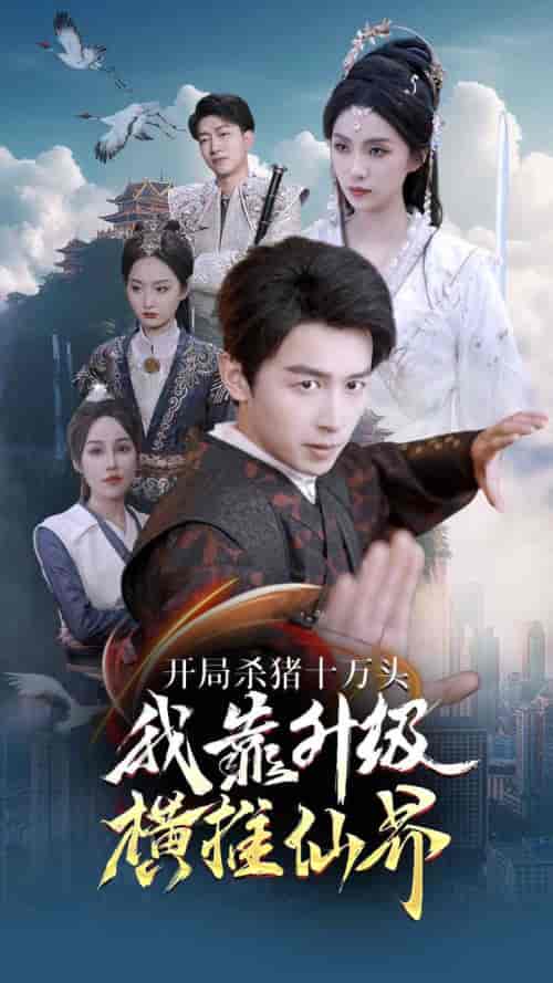 开局杀猪十万头我靠升级横推仙界（80集）仙侠剧-搜外项目网