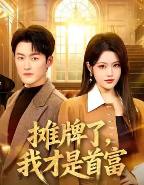 摊牌了，我才是首富（79集全）姜博龙＆刘艺乔-搜外项目网