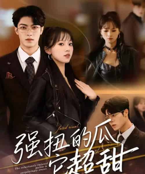 强扭的瓜它超甜（70集全）付琳琅＆贾馨雨-搜外项目网