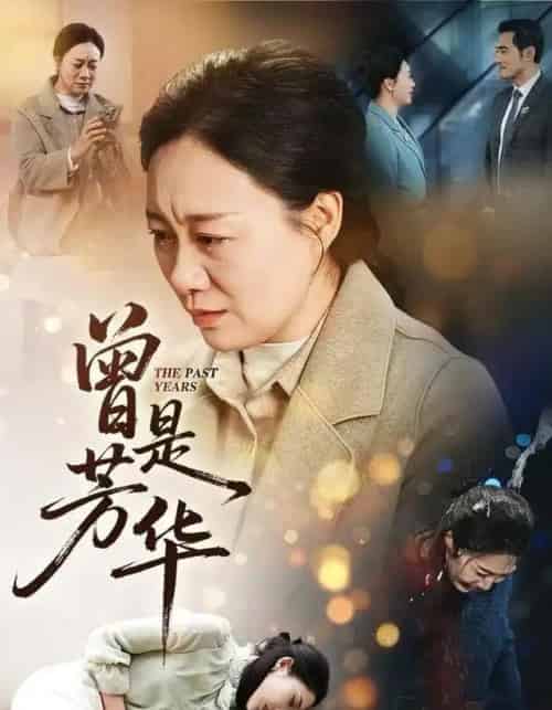 曾是芳华（60集全）庄园＆驰恩尘-搜外项目网