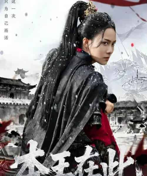 本王在此（72集全）童家豪＆苏寰-搜外项目网