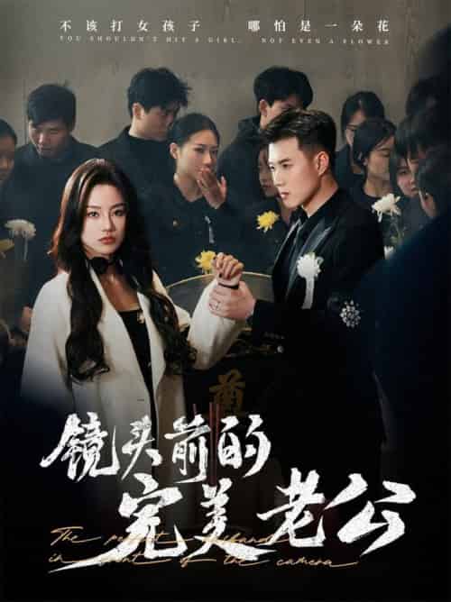 镜头前的完美老公（52集全）黄文博＆佳美丽斯-搜外项目网