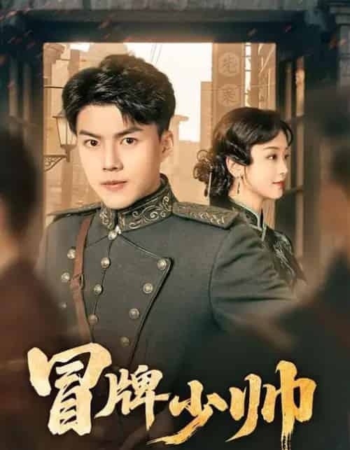 冒牌少帅(66集全)胡译维(心棠)&白龙-搜外项目网