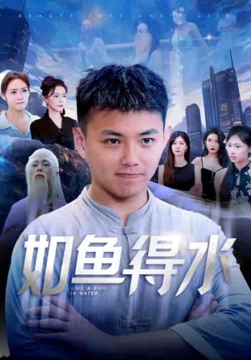 如鱼得水&美女饶命(74集)刘峰硕 吴玥子-搜外项目网