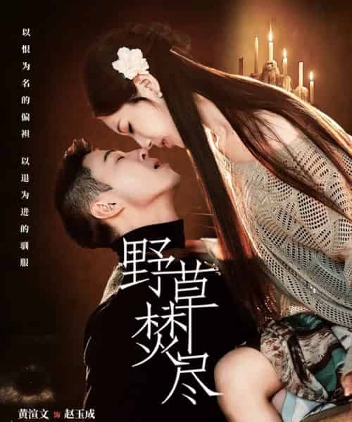 野草焚尽（74集全）黄渲文＆戚羽佳-搜外项目网