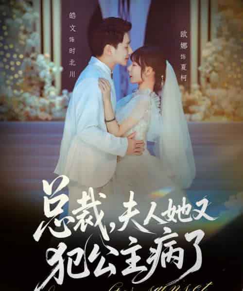 总裁，夫人她又犯公主病了（71集全）欧娜＆饶皓文-搜外项目网