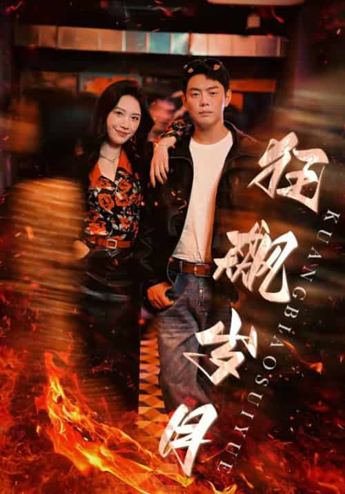 狂飙岁月（95集）-搜外项目网