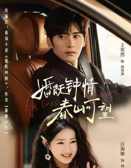 婚既钟情，春山可望＆热恋，从新婚开始（91集全）王奕然＆汪海敏-搜外项目网